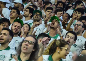 Palmeiras x Cruzeiro: veja parcial de ingressos vendidos