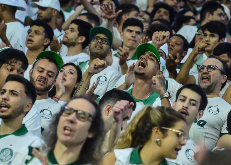 Palmeiras x Cruzeiro: veja parcial de ingressos vendidos