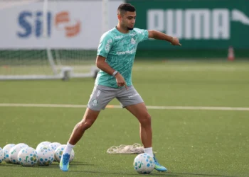 Trio treina normalmente e pode reforçar o Palmeiras contra Cruzeiro