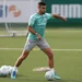 Trio treina normalmente e pode reforçar o Palmeiras contra Cruzeiro