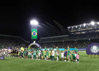 Torcedor é proibido de entrar em jogos do Palmeiras por seis meses por atitude em partida contra São Paulo; entenda