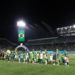 Torcedor é proibido de entrar em jogos do Palmeiras por seis meses por atitude em partida contra São Paulo; entenda