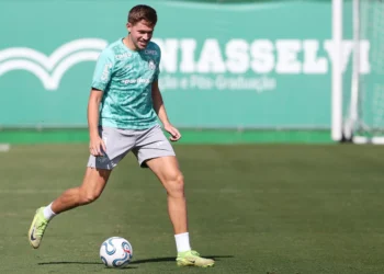 Palmeiras deve ter retorno no setor defensivo; veja detalhes