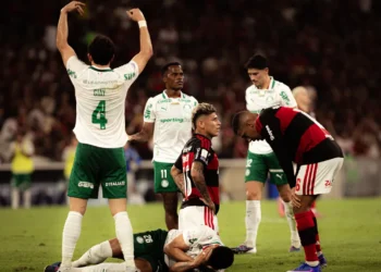Leonardo Jardim insinua favorecimento após Flamengo x Palmeiras