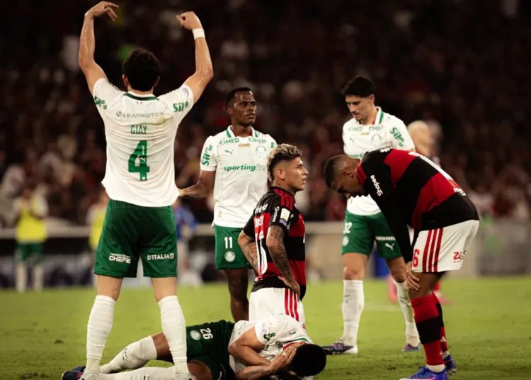 Leonardo Jardim insinua favorecimento após Flamengo x Palmeiras
