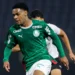 Atacante do Palmeiras é convocado para Seleção Brasileira para amistosos