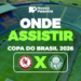 Jacuipense x Palmeiras: onde assistir jogo pela Copa do Brasil