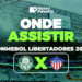 Palmeiras x Junior Barranquilla-COL: onde assistir jogo da Libertadores