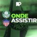 Palmeiras x Junior Barranquilla: onde assistir ao confronto da Conmebol Libertadores