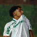 Palmeiras trabalha em cinco possíveis vendas nesta janela de transferências